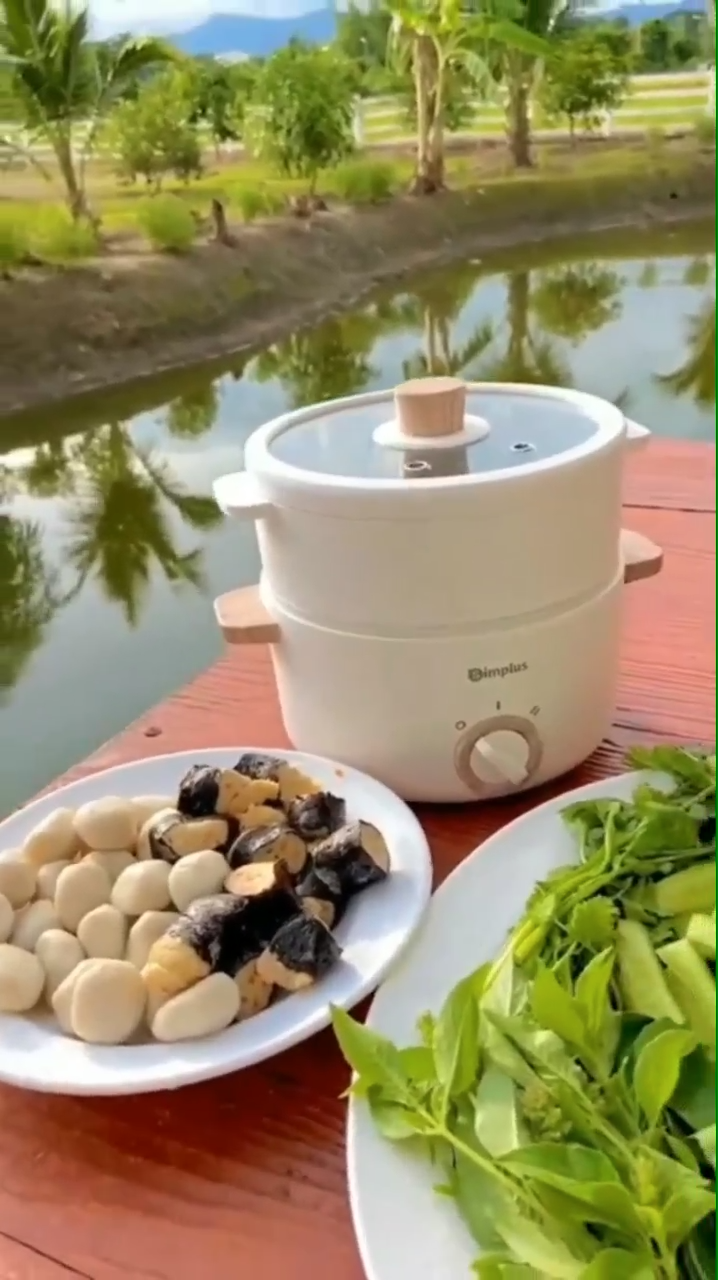 Simplus Electric Cooker Round Pot With Steamer Multicooker Hot Pot Frying Pan Soup Pot Multifunctional Non-Sticky Portable