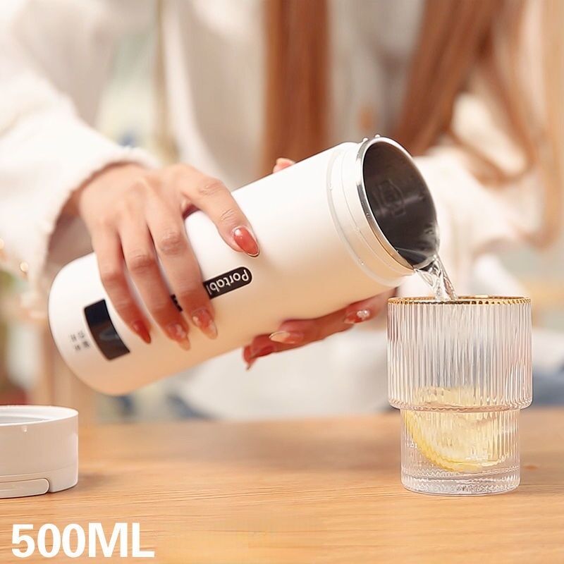 Travel bottle Kettle Electric Small Stainless Steel Portable Electric Kettle for Boiling Water Travel Tea Kettle Automatic Shut off Dry Protection 4 Preset Heat Setting 500ml Hot Water Kettle for Coff